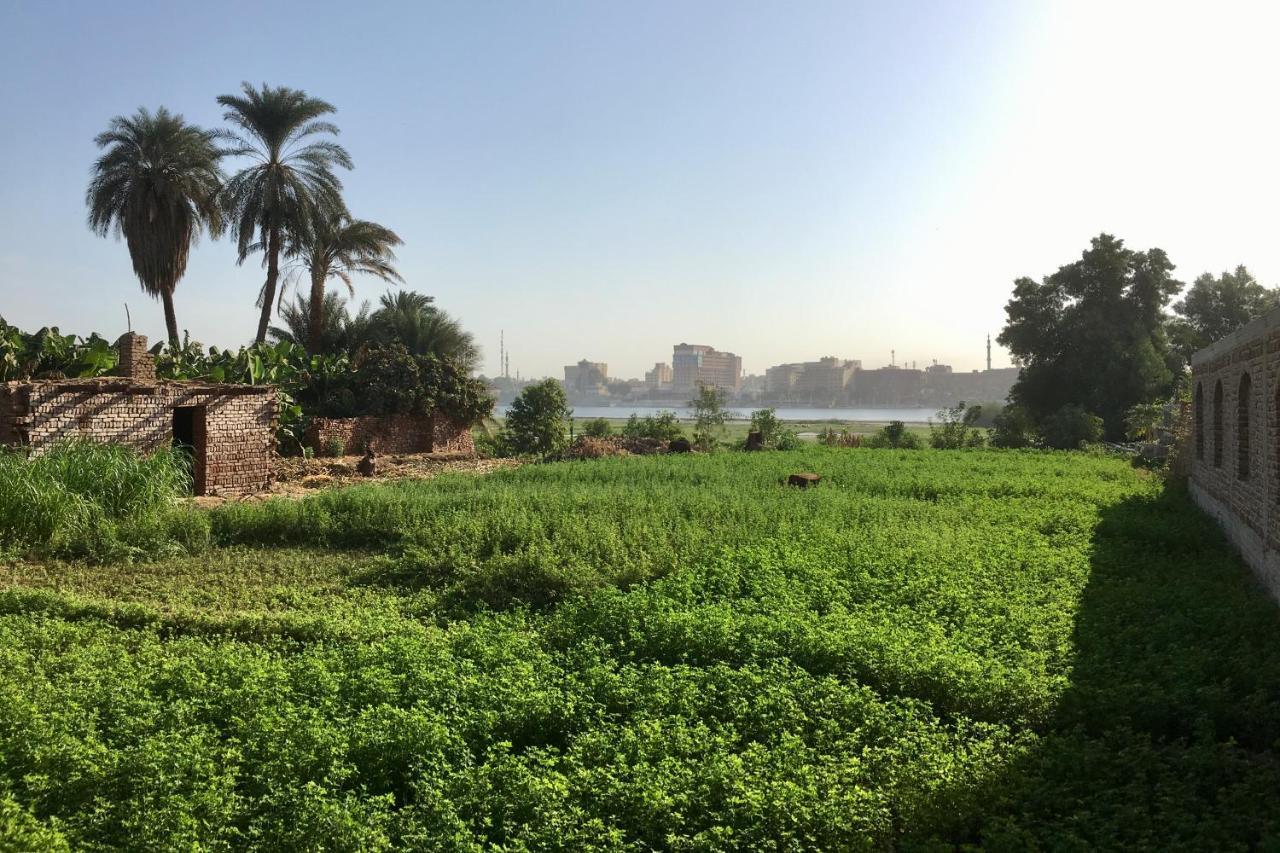 Jewel Howard Carter Hotel Luxor